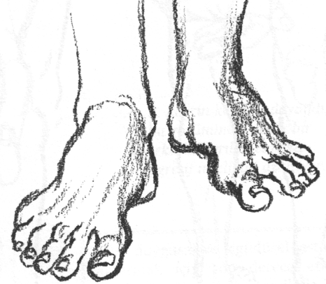 Resim 2.6: Ayağın önden ve arkadan görünüşünde parmaklar 2.1.1. Farklı Pozisyonlarda Ayak Çizimleri Aşağıdaki çizimde ayağın çizimi dört aşamada verilmiştir.