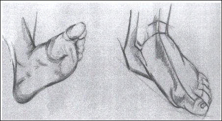 Resim 2.14: Ayak çizimi 2.2. Bacak Çizimi Bacak ta, kolda olduğu gibi üst ve alt bacak olarak iki kütle olarak incelenir.