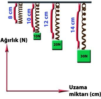 42) Yaya asılan ağırlıklar sonucundaki yayın boyundaki değişim aşağıdaki şekilde verilmiştir. Buna göre bu yaya ait ağırlık uzama miktarını gösteren grafiği çiziniz.