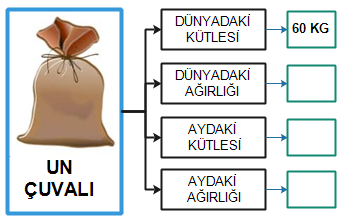 (dünyada 1kglık cismin ağırlığı 10 N dur) 49) Aşağıdaki tabloda bulunan yapıların hangi duyu organına ait olduğunu