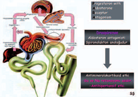 ŞEKİL 7: Drospirenonun antimineralokortikoid ve anti-androjenik etkisinin klinik sonuçları. ŞEKİL 8: Drospirenonun antiminerolokortikoid etkisi. TABLO 13: Progestogenlerin relatif güçleri.