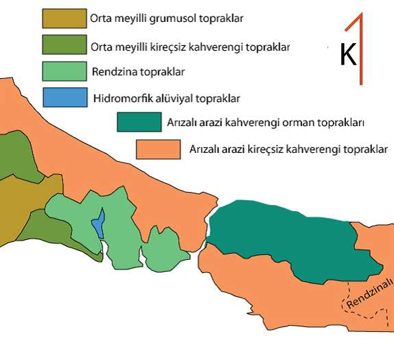 Ona göre İstanbul daki toprak dağılımı şaşılacak bir hassasiyetle, topoğrafyanın Trakya ve Kocaeli yarımadalarında birbirinin tersine çarpılmasını yansıtmakta ve boğazın oluşumu hakkında ileri