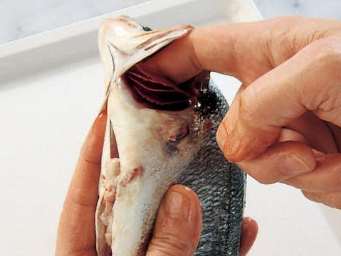 PÜF NOKTASI KOLAY BALIK TEMİZLEMENİN İPUÇLARI Balık yemeklerinin en zor aşaması bilindiği üzere temizlenmeleridir.
