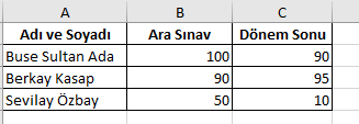 rastgele veriler girerek ve tablomuzda istediğimiz alanları