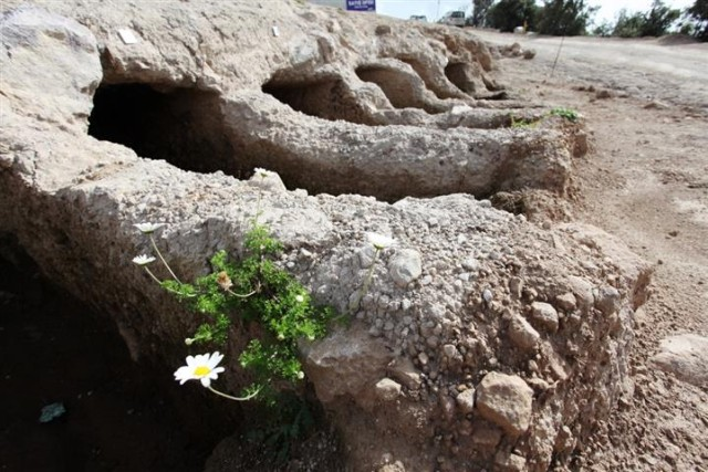 başlanan inşaatta çalışan bir kepçenin büyük zarar vermesiyle ortaya çıkan tarihi mezarlar, Bodrum Sualtı ve Arkeoloji Müzesi ekipleri tarafından kurtarma kazıları gerçekleştirilerek gerekli