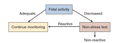 Fetal Fetal Hareketlilik Hareket Sayımı Testi Saatte 3 hareketten az 12 saat hareket olmaması 2 gün boyunca saatte 3 den az hareket