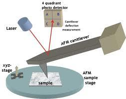 Park system, AFM