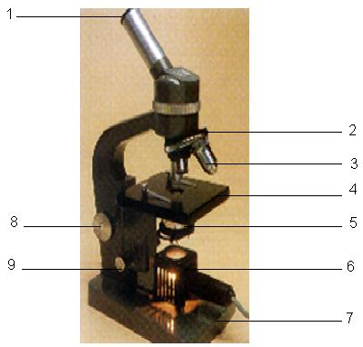 Optik mikroskop Oküler Döner tabla Kaba ayar vidası İnce