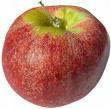 Elma, triploid çeşitlerin karşılaşıldığı türlerden birisidir.
