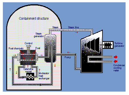 Basınçlı Ağır Su Reaktörü (CANDU) Basınçlı ağır su reaktörleri (Pressurised Heavy Water Reactor, PHWR) başta Kanada olmak üzere Arjantin, Hindistan, Pakistan, Güney Kore ve Romanya da