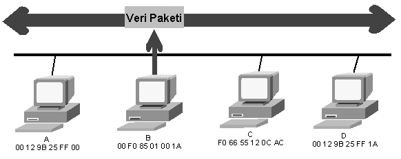 Benim kartımın üreticisi Cnet isimli firma. Bu firma, ağ kartı üretmeye karar verince önce gidip IEEE'ye başvurmuş ve IEEE buna 24 bitlik bir üretici kodu vermiş.