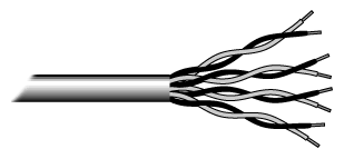 Dolanmış Çift Kablo (Twisted Pair Cable) Günümüzde en yaygın kullanılan ağ kablosu tipi birbirine dolanmış çiftler halinde, telefon kablosuna benzer yapıdaki kablodur. Đki tip TP kablo mevcuttur.