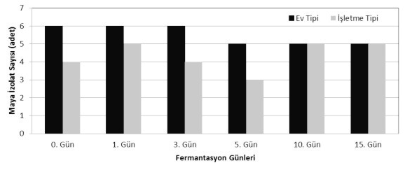 M. 1 kb. Merker (Fermentas). Figure 3. M13-DNA fingerprint profiles of yeasts isolated from HMT and PST dough samples (A, B, C, D, E, F, G, H, K) during fermentation.