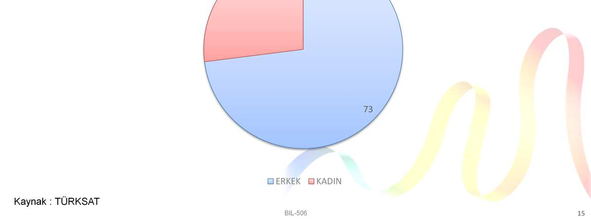 cinsiyet açısından önemli bir