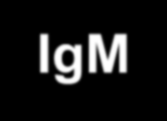 IgM Anti-HBs YORUM - - - - +