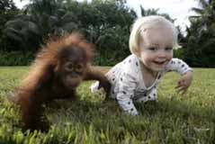 İnsan ve primatlarda 30.000 genin %96 sı ortak Farklı olan 1.