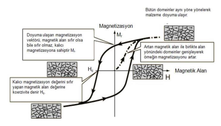 Şekil 2.11. Manyetik histeresis eğrisi (Kasap, 2006). Şekil 2.11 den de görüleceği gibi, yeterli büyüklükte manyetik alan uygulandığında, mıknatıslanma ferromanyetik doyuma ulaşır (M s ).