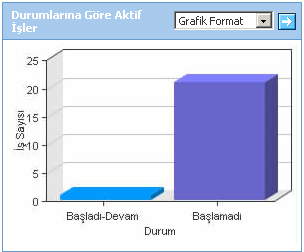 Grafik görünüşünü değiştirmek için grafiğin sağ üst kısmındaki Grafik Format adlı alan