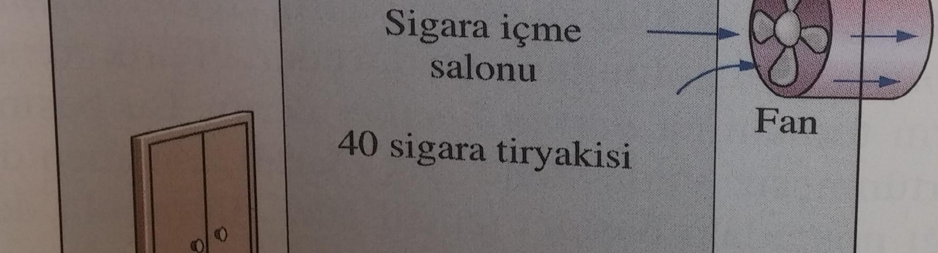 Siara içe alon için ini tae hava ihtiyacı kişi başına 0 olarak belirleniştir