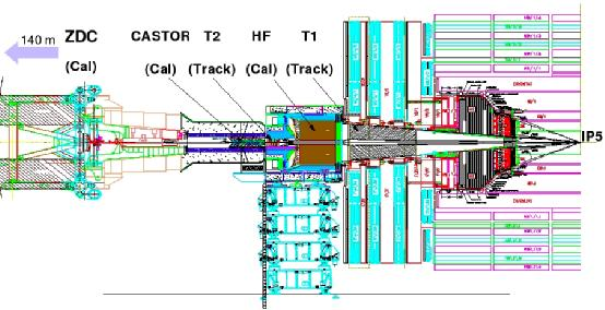 2. ÖNCEKİ ÇALIŞMALAR Aydın AYHAN Şekil 2.8. CASTOR detektörünün konumu (2008 JINST 3 S08004). CASTOR hüzme borusunu saran iki yarım silindirden oluşacaktır.