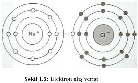 1.4. Serbest (Valans) Elektronlar Bir atomun son yörüngesine valans bandı denir. Valans bandında bulunan elektronlara serbest elektron ya da valans elektronu denir.