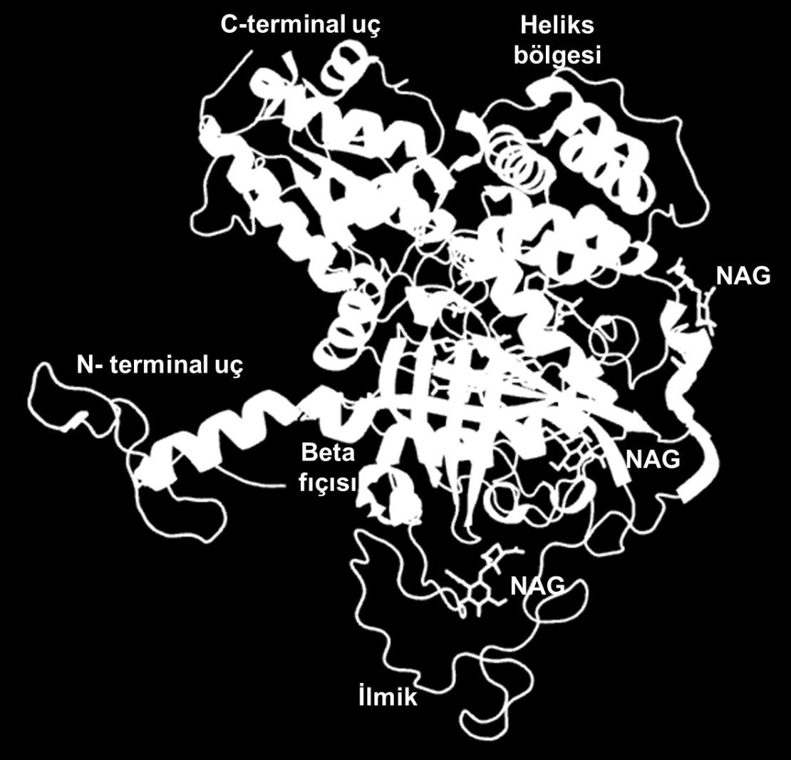 CATPO Monomer, 4AUE