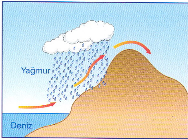 sonucu oluşurlar.