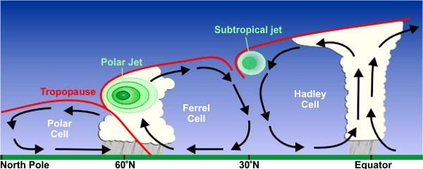 SUB-TROPICAL JET STREAM Ekvatordan yükselen ve kutuplara yönelen sıcak hava 30. enlem civarında orta enlemlerin batılı akışlarıyla karşılaşır.
