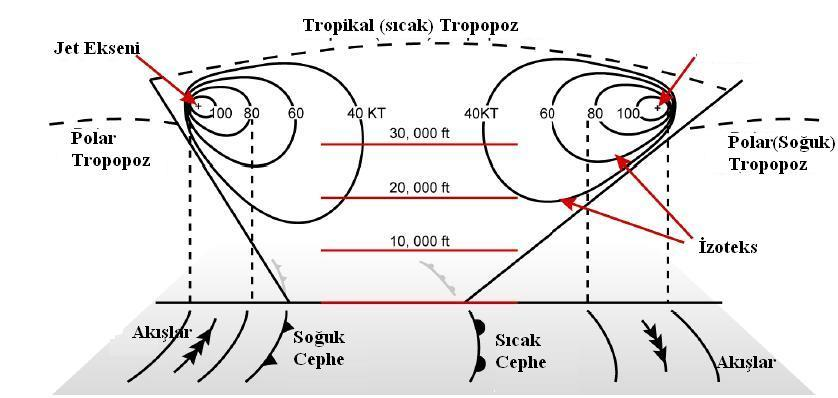 POLAR FRONT JET STREAM Polar Cephe Jet i adından da anlaşılacağı üzere Polar Cephe sistemleri üzerinde oluşur.