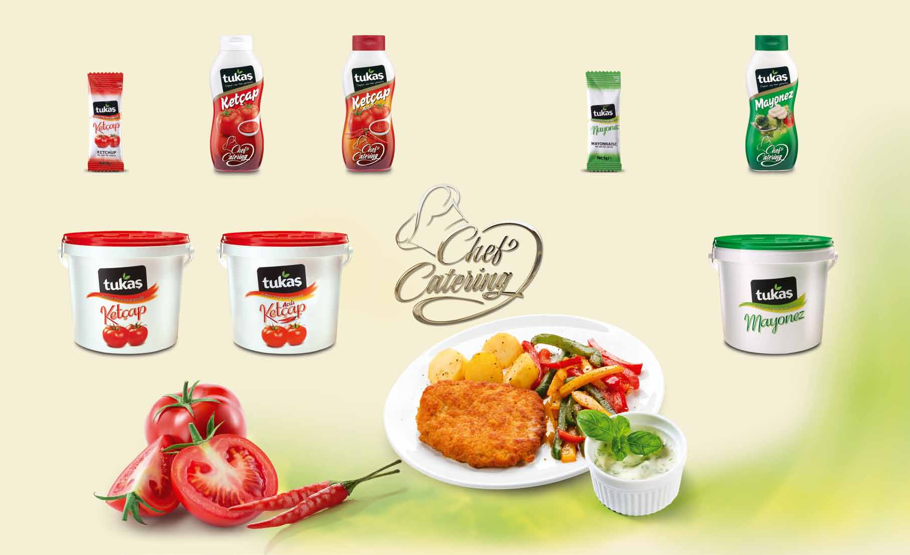 Ketchup - Ketçaplar Mayonnaise - Mayonezler Ketçap Stickpack - Ketchup Stickpack Net Ağırlık/Net Weight: 9 g Koli İçi Adeti/Quantity Per Carton: 500 Ürün Barkod/Product Barcode: 8690508006561 Koli