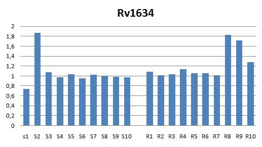 Tablo 4.13. Rv1634 geni, gen/ik ekspresyon oranları tablosu (S1-S10 Duyarlı M.tuberculosis suşları, R1-R10 MDR M.tuberculosis suşları). Bu sonuçlara göre, çoklu ilaç dirençli M.