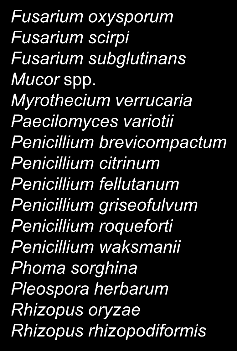 nygamai TÜRLERİ Fusarium oxysporum Fusarium scirpi Fusarium subglutinans Mucor spp.