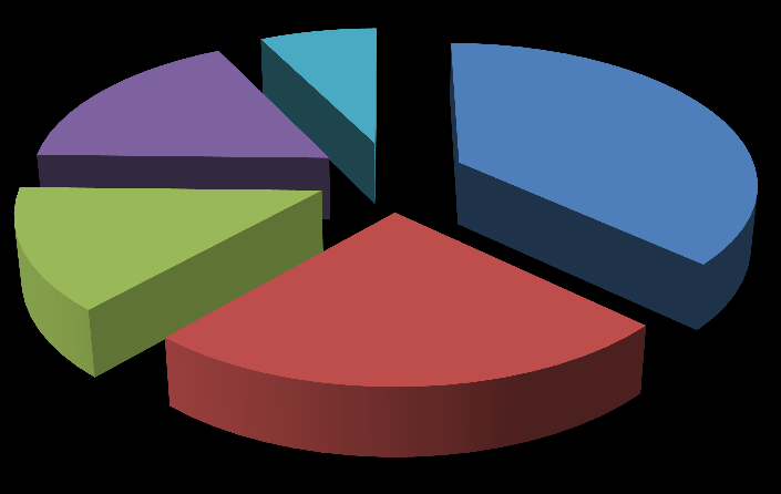 Pasta Grafikler Çalışma sayfasındaki verilerin analizinde en çok kullanılan grafik türlerinden biri pasta grafiktir.