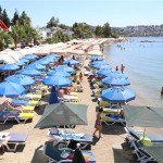 yedi tane mavi bayraklı halk plajı bulunuyor. Bodrum da plajların haricinde ayrıca üç mavi bayraklı marina ve altı mavi bayraklı da yat bulunuyor.