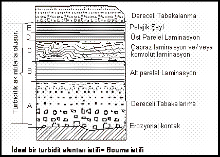 Sedimanter Kayaçların Özellikleri Belirli bir sedimantasyon devresi sonucunda olduğu