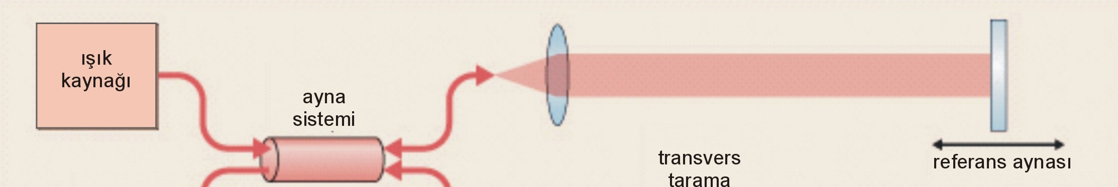 Şekil 1. OKT nin çalışma prensibi OKT ünitesinde ışık kaynağı olarak kısa dalga boyuna (830nm) ve 750 mw güce sahip superluminesan diod ışık kaynağı kullanılır.