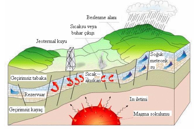 5 Şekil 1.2. İdeal bir jeotermal sisteminin şematik gösterimi (Özdemir, 2007) 1.4.