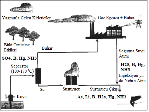 20 Şekil 1.9. Jeotermal akışkanın içerdiği kimyasal kirleticiler (Aslan, 2010). 1.6.2. Bazı Kirletici Parametrelerin Bitki Metabolizması Üzerine Etkileri Günümüzde, ekosistemlerin toprak, su ve hava