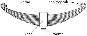 Aşınma plakası (paten): Dingil çatalının iç kısımlarına perçin, cıvata veya kaynakla bağlanır. Dingil kutusunun hareketi ile dingil çatallarının aşınmasını engellemek maksadıyla kullanılır.