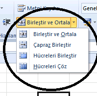 Şekil 26 Yazı Tipi Grubu Hücre içine yazılan yazıların biçimini (Kalın, İtalik, Altı Çizgili), büyüklüğünü (11,12,13.