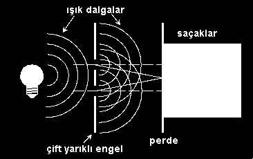 Mavi ~ 450-485 nm ~ 680-620 THz Çivit mavisi ~ 450-420 nm ~ 620-600 THz Mor ~ 380-440 nm ~ 790-680 THz Işığın Dalga Modeli ile Açıkladıkları Işığın cisimlerden yansımı, farklı ortamlara geçişte