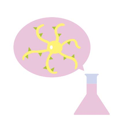 Dendritik hücreler hızlıca lenf sistemine yollarını bulurlar.