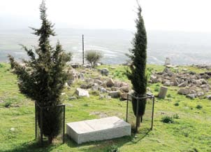 13 Nisan 1934 te Atatürk Bergama ya gelir. O dönemde Asklepion daki kazılar devam etmektedir. Akropolü gezdirirler Atatürk e. O da bunlardan gerçekten etkilenir.