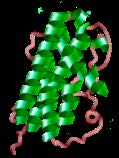 amino asit ~22,000 dalton 3091 atom IgG1