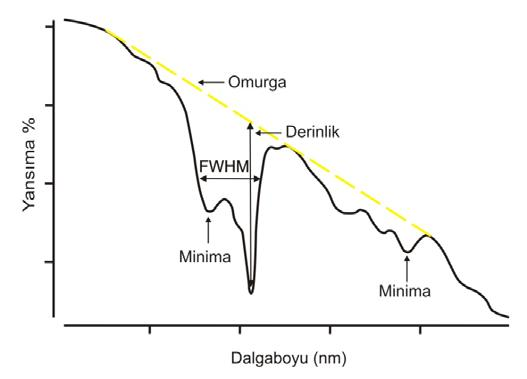 dalga boyunu, EMR nin görünür ve yansıyan kızılötesi bölgelerinde gösterir. Düşey eksen ise ayrımlı dalga boylarında yansıma enerjisinin yüzdesi tanımlanır.