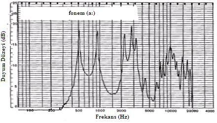 İkincisi ise F3 (2283 Hz), F4 (2818 Hz) ve F5 in (3262 Hz) yaklaşık olarak 1 kh lik bir frekans alanında bir formantlar demeti olarak görünmelerini sağlayacak şekilde birbirine yakın değerde
