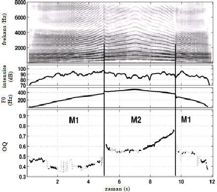 2.4.4 Açık dönem (OQ) parametresi Glottal ses kaynağı parametrelerinden biri olan ve temel periyod ile glottal açıklık (glottisin açık olduğu durum) arasındaki oranı ifade eden (Henrich ve diğ.