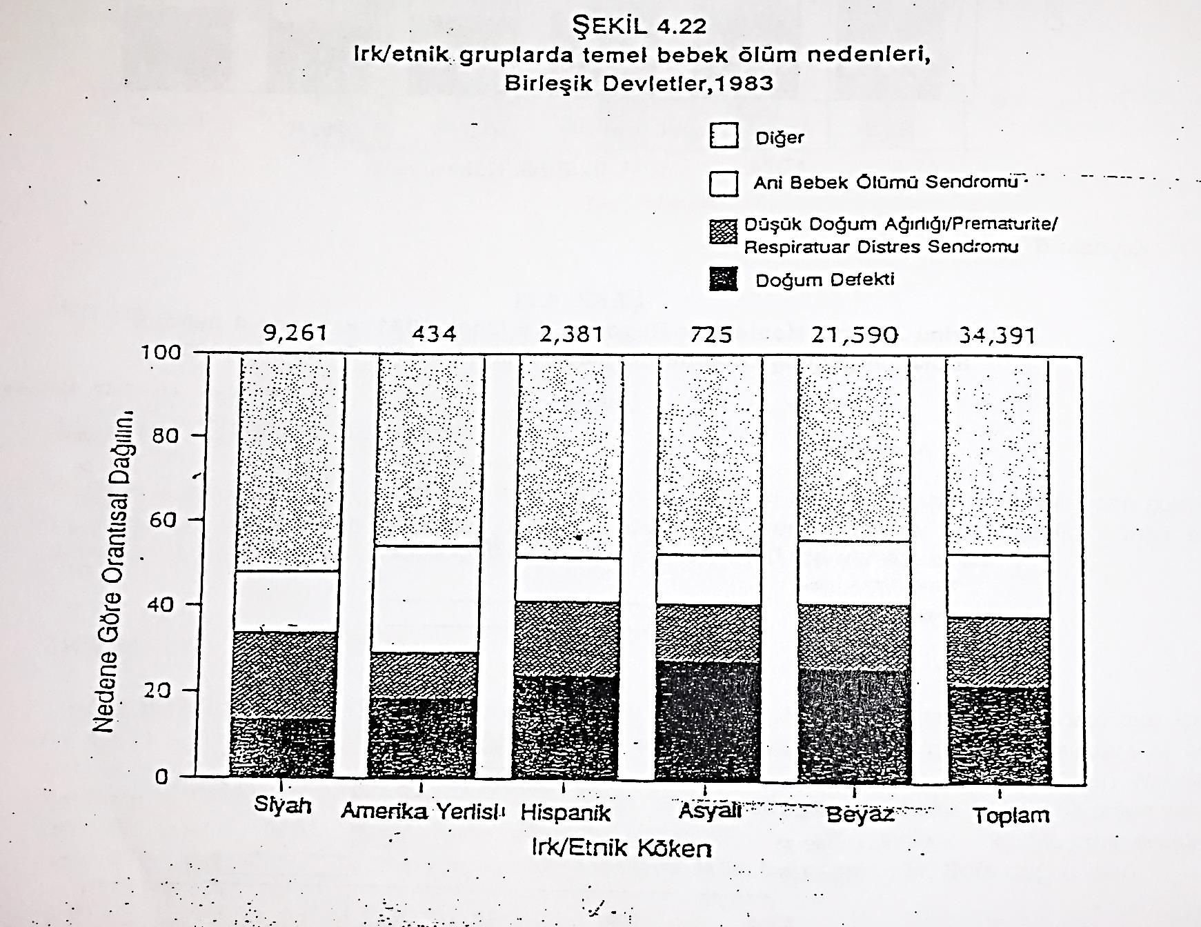 %100 Bileşenli