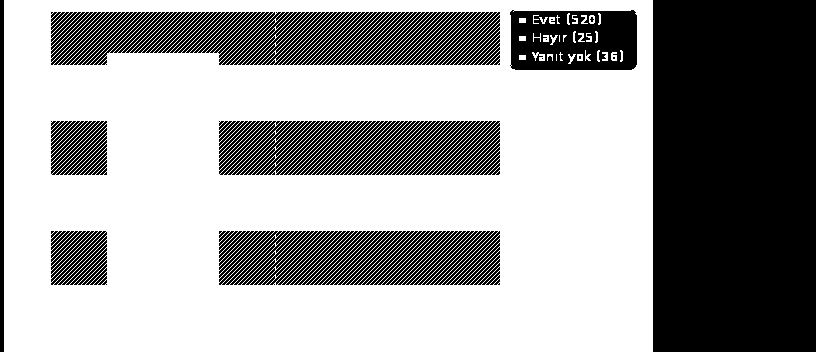 04% 1500 TL üstü (A3) 100 17.21% Yanıt yok 26 4.48% 4.