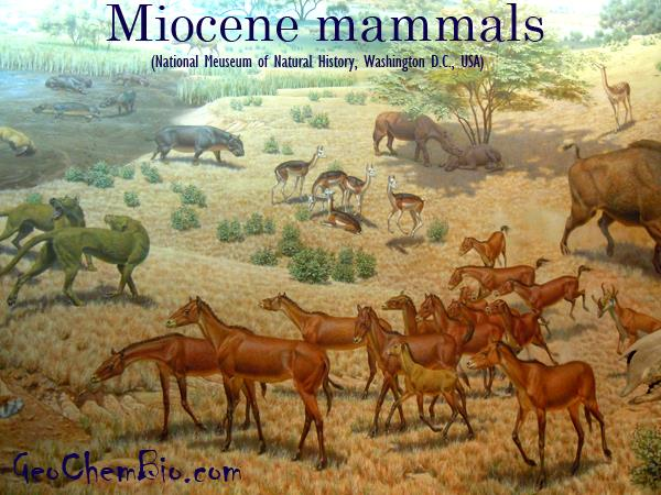 geochembio.com/img/miocene-mammals.